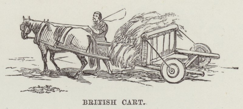 British Cart by English School