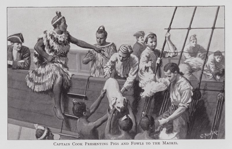Captain Cook Presenting Pigs and Fowls to the Maoris by English School