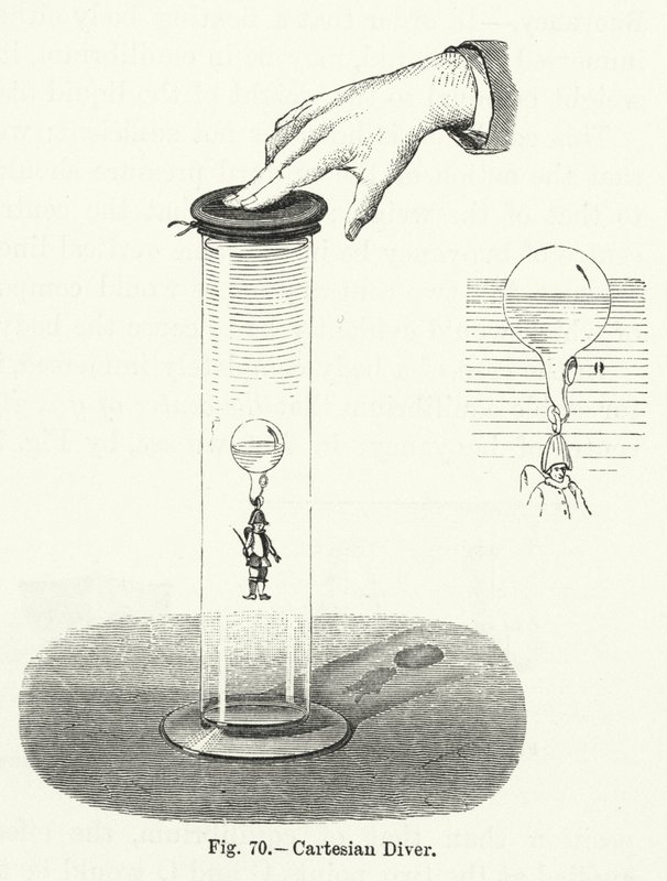 Cartesian Diver by English School