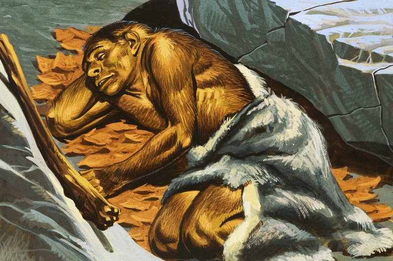 Cave man sleeping by English School