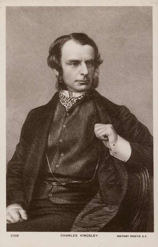 Charles Kingsley (1819-1875), English clergyman, historian and novelist by English School