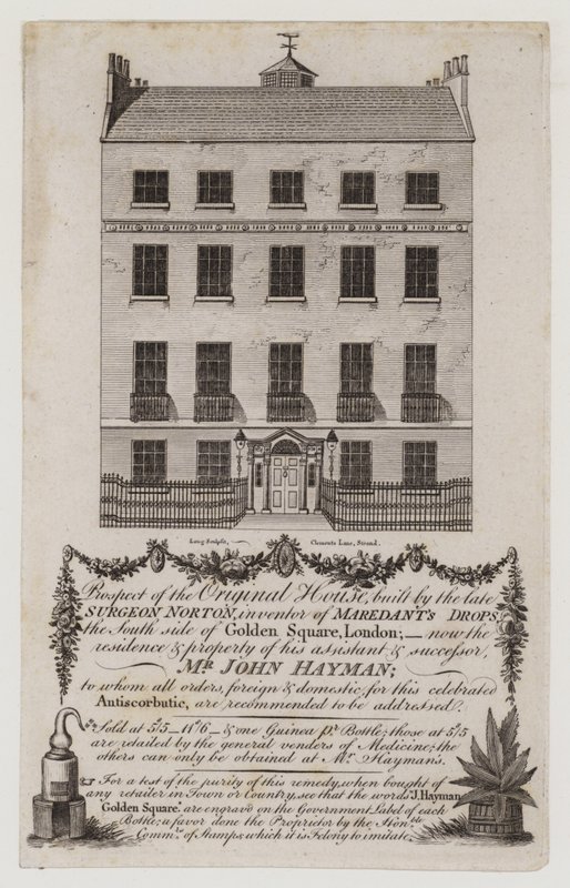 Chemists and Druggists, Mr John Hayman by English School