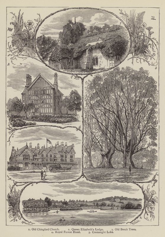 Chingford by English School