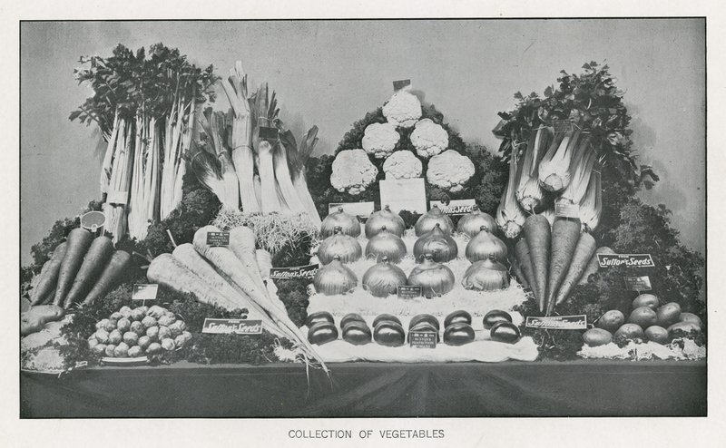 Collection of Vegetables by English School