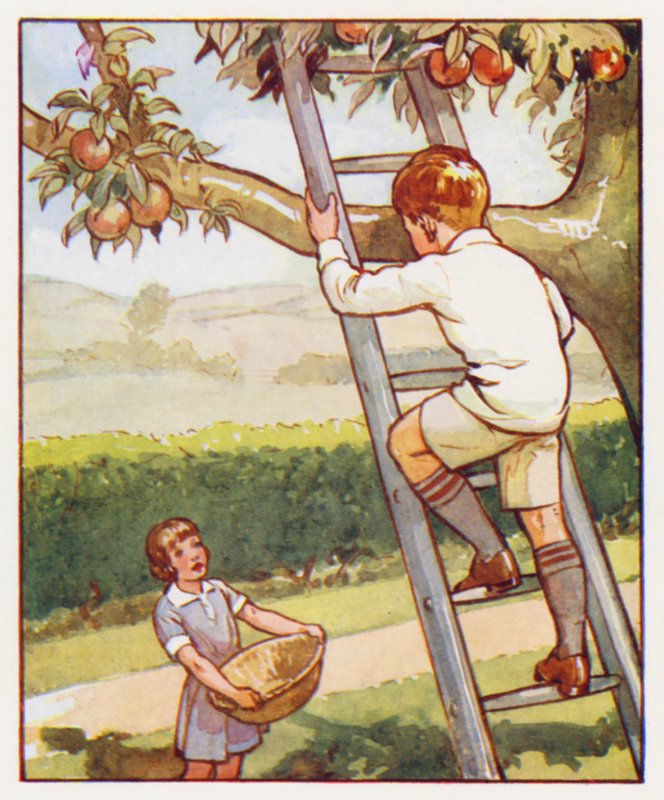 Commands: Climb up the ladder carefully by English School