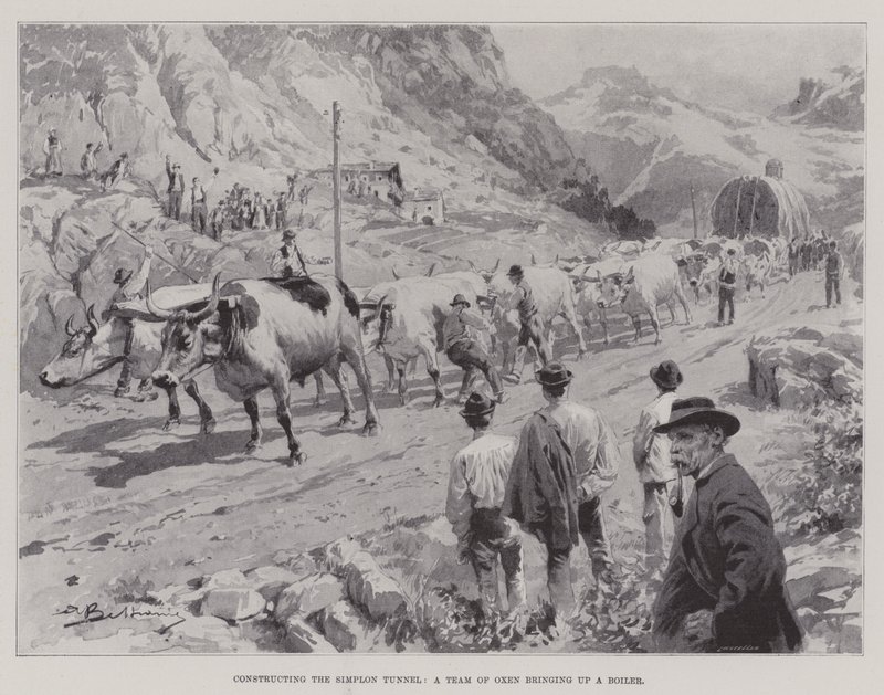 Constructing the Simplon Tunnel, a Team of Oxen bringing up a Boiler by English School