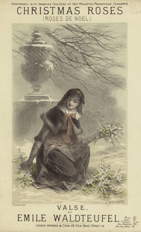 Cover of Christmas Roses by English School