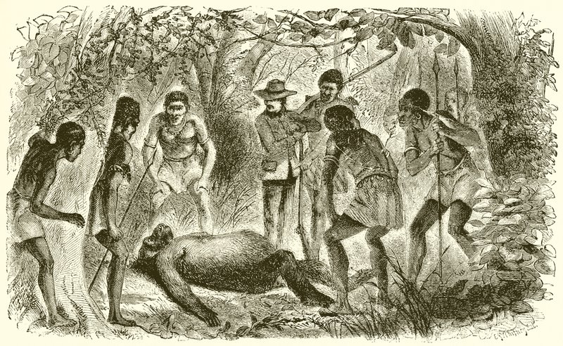 Death of Du Chaillu