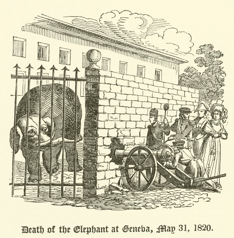 Death of the Elephant at Geneva, 31 May 1820 by English School
