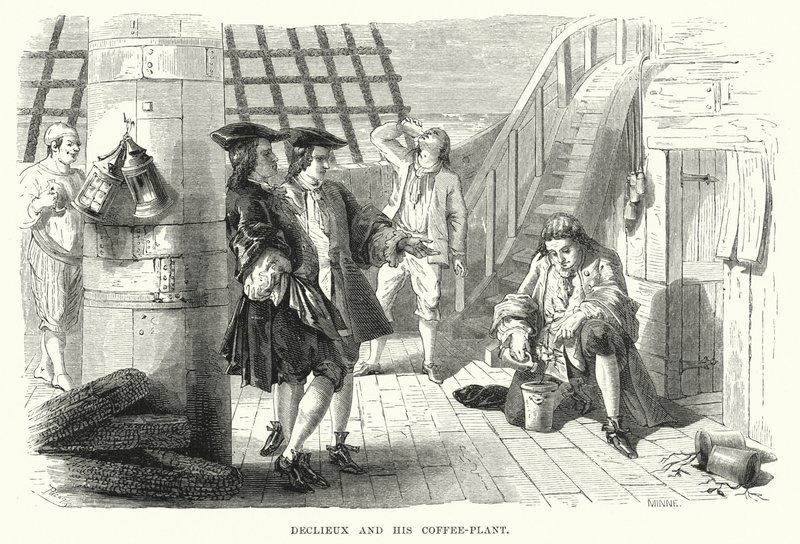 Declieux and His Coffee-Plant by English School