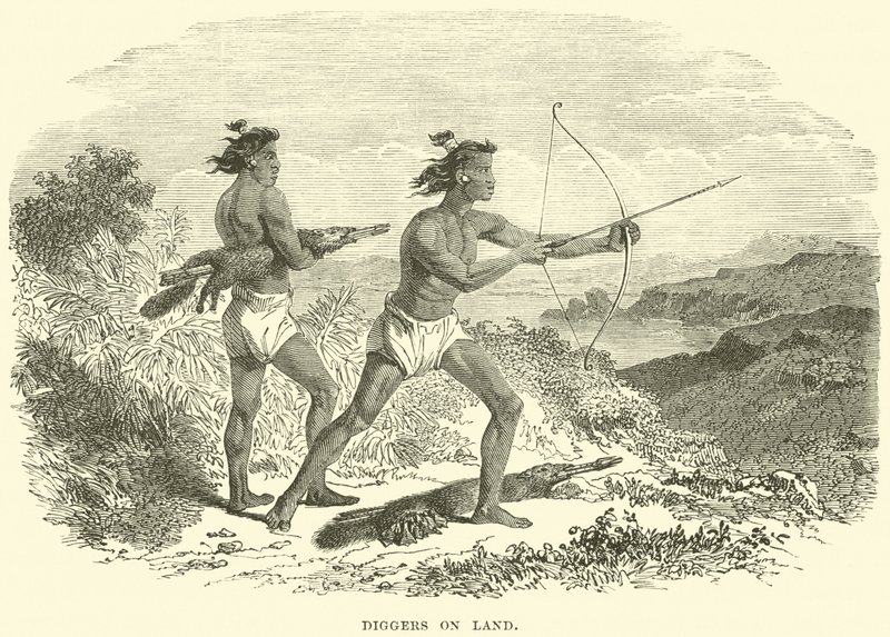Diggers on land by English School