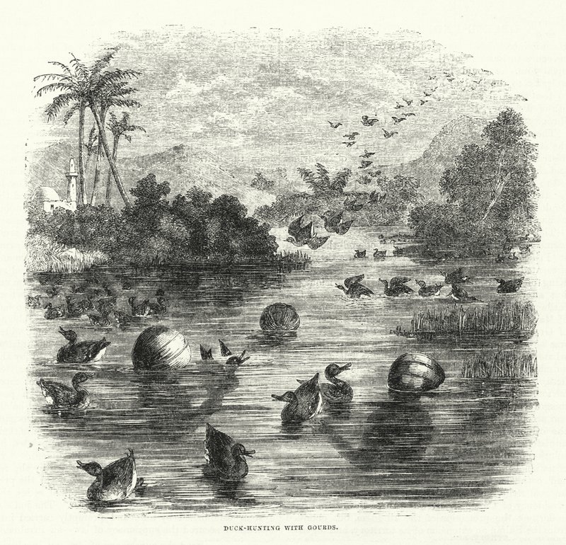 Duck-Hunting with Gourds by English School
