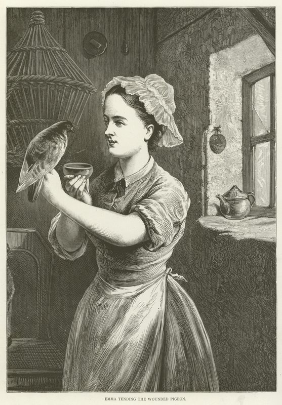 Emma Tending the Wounded Pigeon by English School