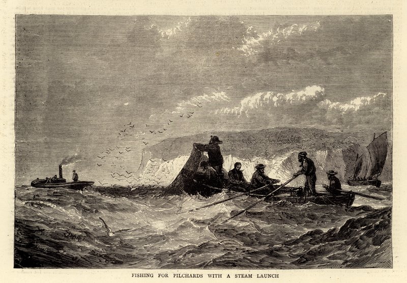 Fishing for Pilchards with a Steam Launch by English School