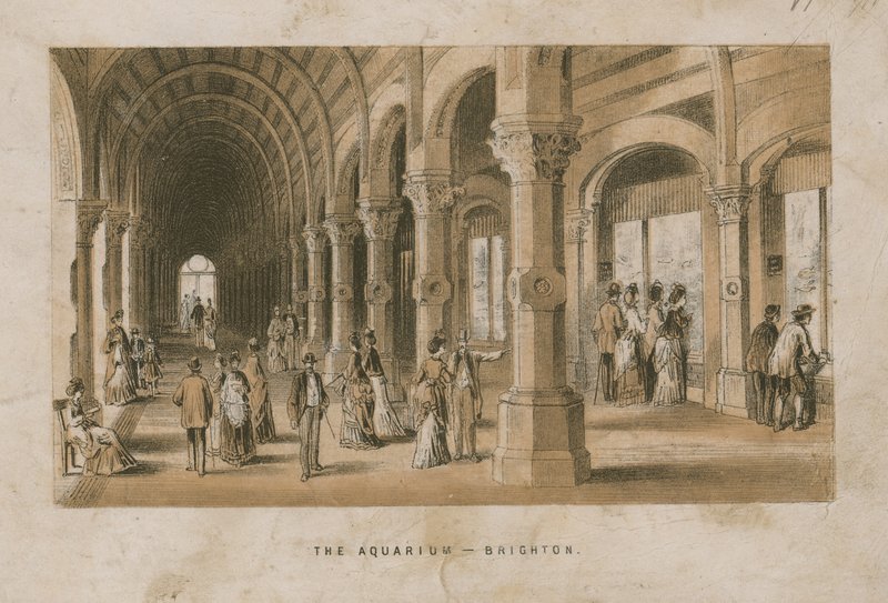 General View of the Aquarium in Brighton by English School