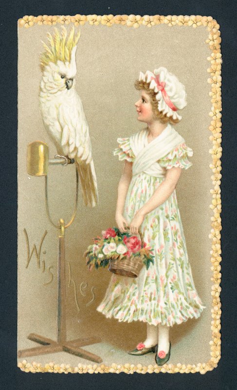 Girl and parakeet by English School