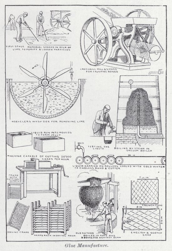Glue manufacture by English School
