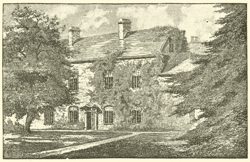 Griff House by English School