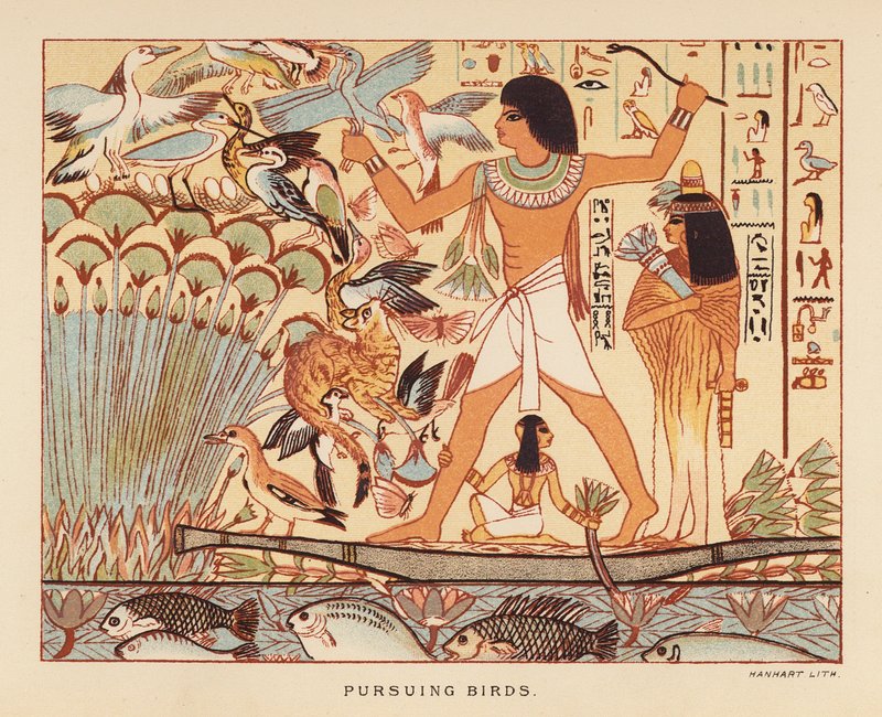 Herodotus: Pursuing birds by English School