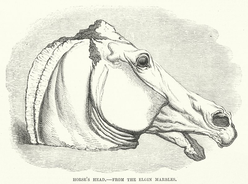 Horse