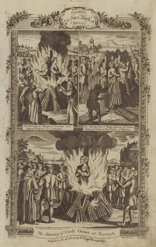 Illustration for Fox