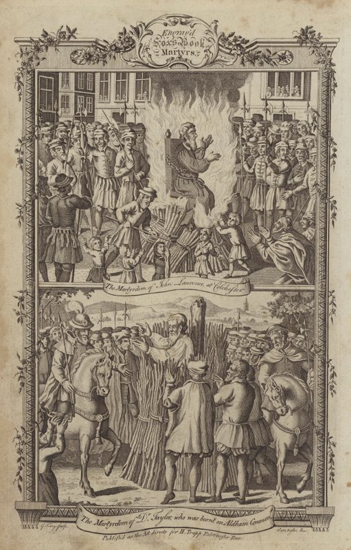 Illustration for Fox