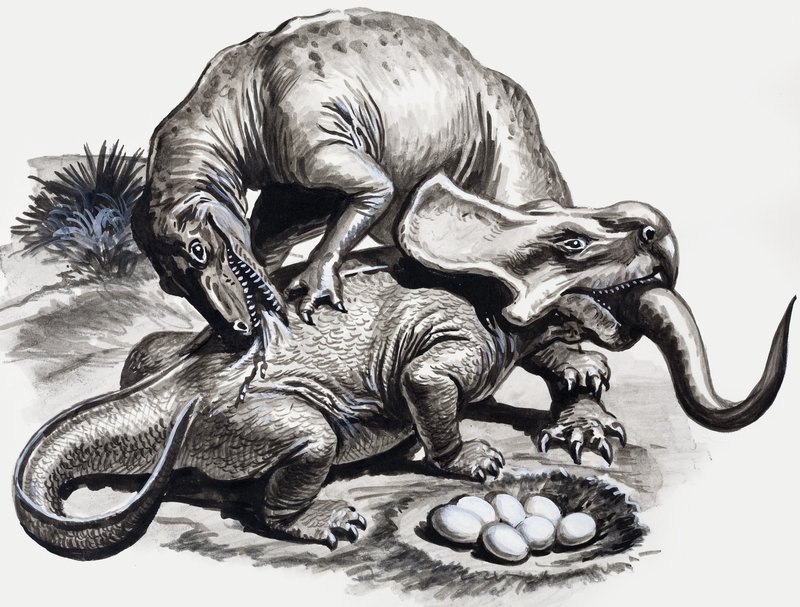 In the Days of the Dinosaurs: Discovery in the Desert by English School