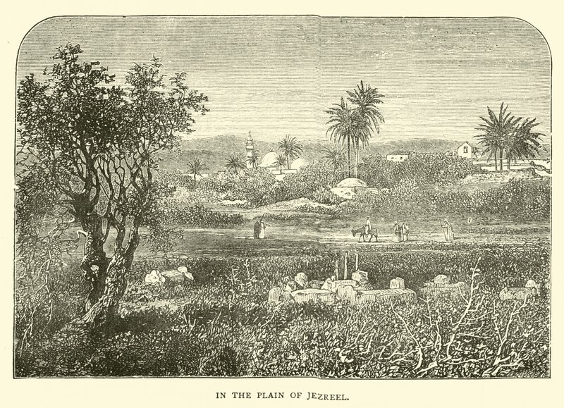 In the Plain of Jezreel by English School