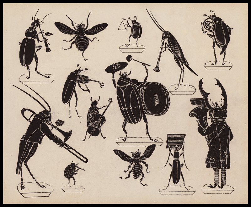 Insects Playing Musical Instruments by English School