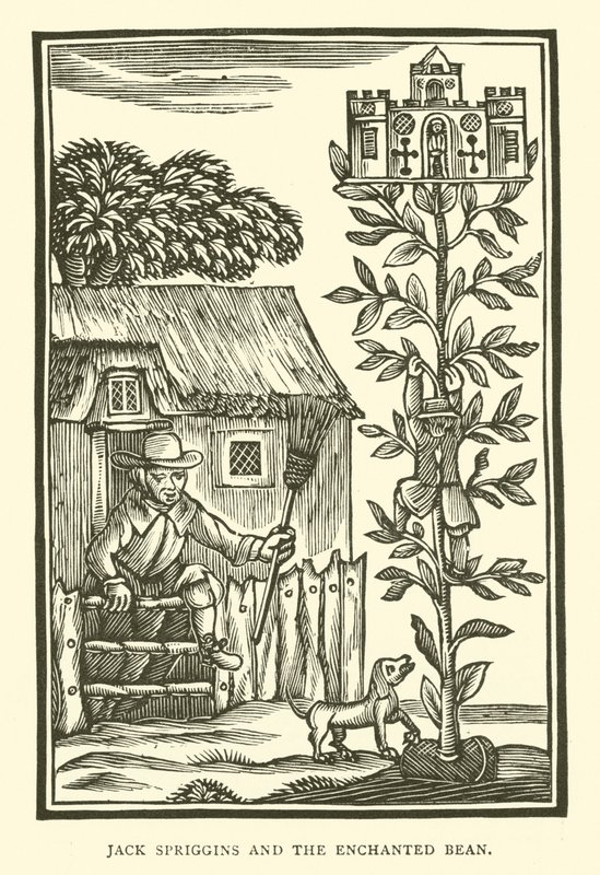 Jack Spriggins and the Enchanted Bean by English School