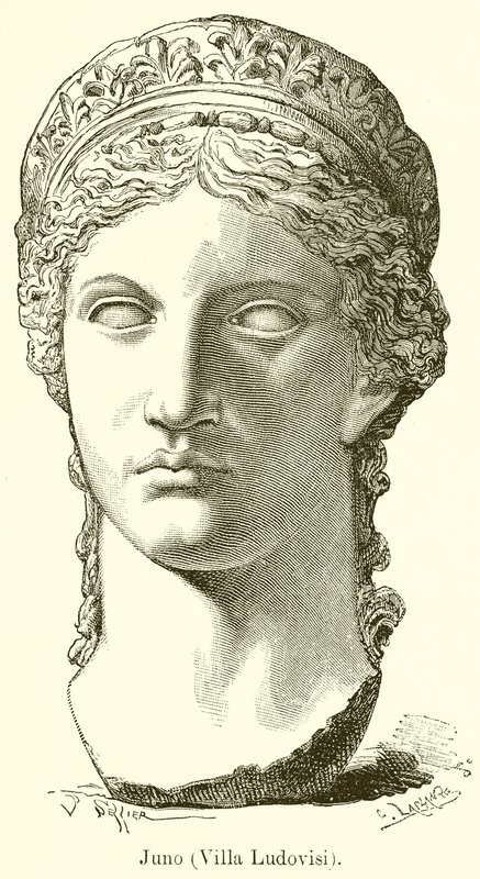 Juno by English School