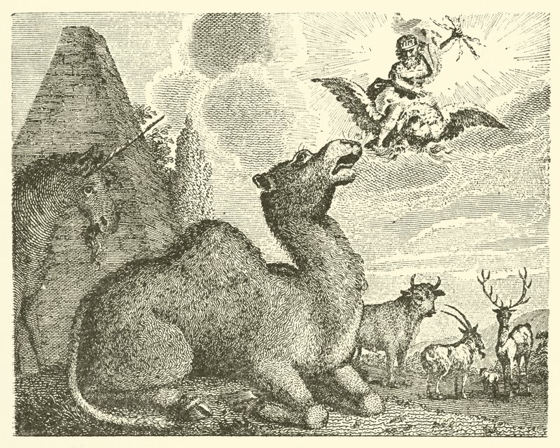 Jupiter and the Camel by English School