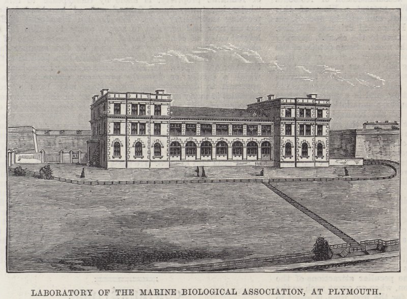 Laboratory of the Marine Biological Association, at Plymouth by English School