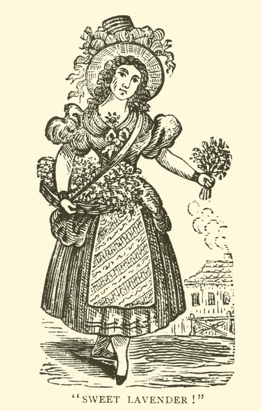 Lavender Seller by English School