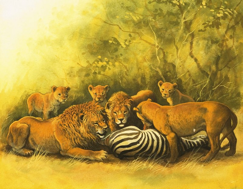 Lions Feeding on a Zebra Carcass by English School