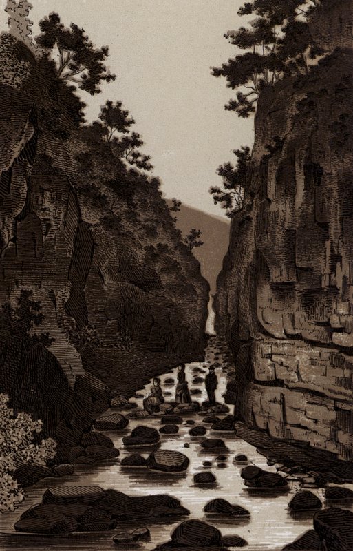 Lovers Leap by English School