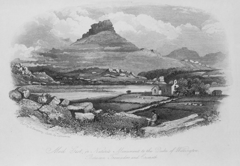 Moel Gest, or Nature