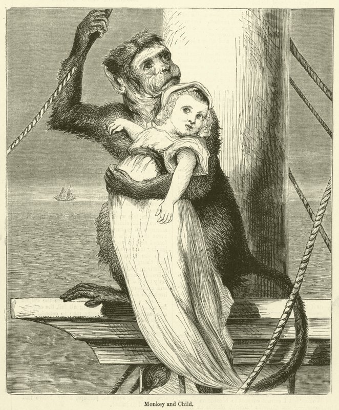 Monkey and Child by English School