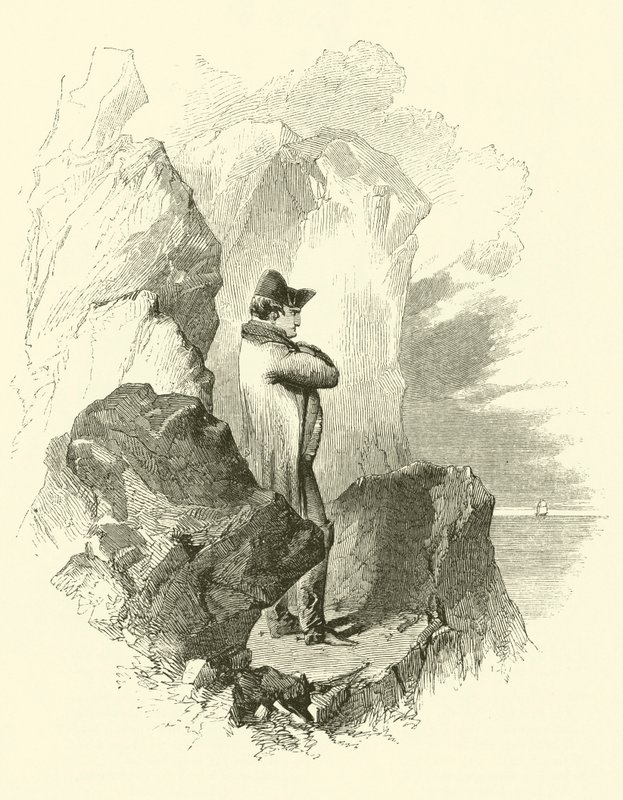 Napoleon in Exile (engraving) by English School