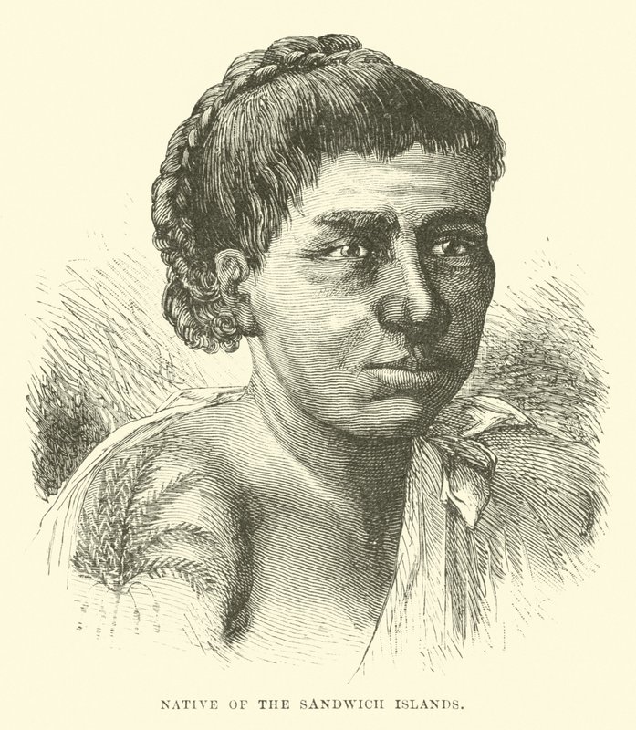 Native of the Sandwich Islands by English School
