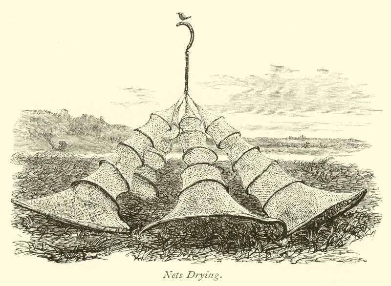 Nets Drying by English School