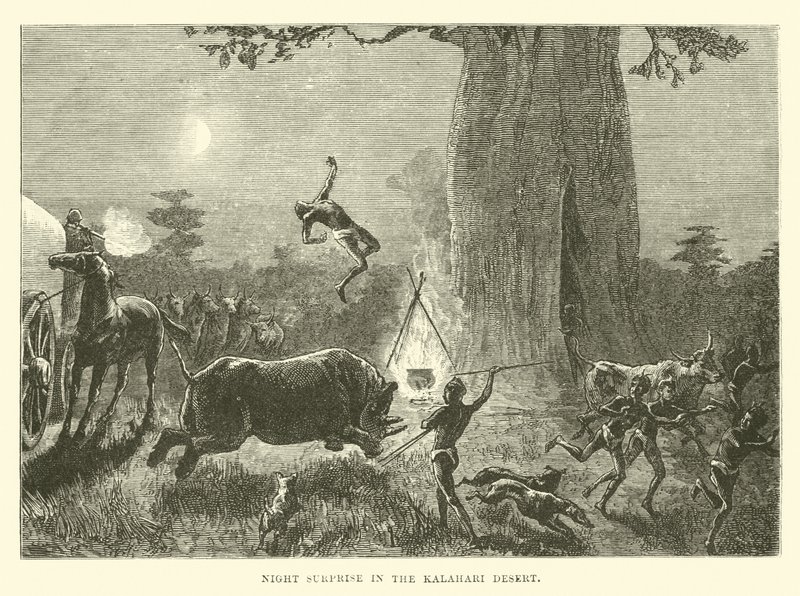 Night Surprise in the Kalahari Desert by English School