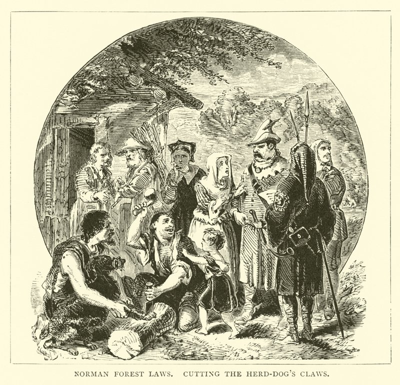 Norman forest laws, cutting the herd-dogs claws by English School