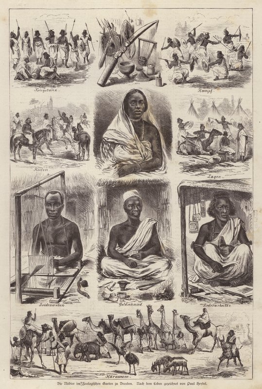 Nubians at the Zoological Garden of Dresden, Germany by English School