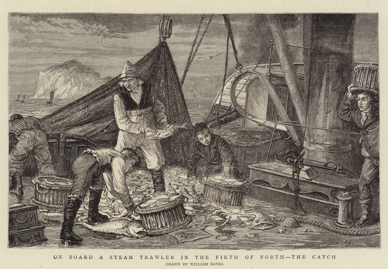 On Board a Steam Trawler in the Firth of Forth, the Catch by English School