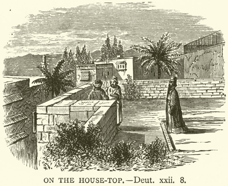 On the House-Top, Deut, xxii, 8 by English School