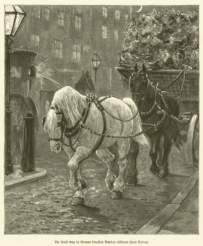 On Their Way to Covent Garden Market Without Their Driver by English School