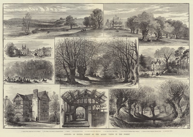 Opening of Epping Forest by the Queen, Views in the Forest by English School