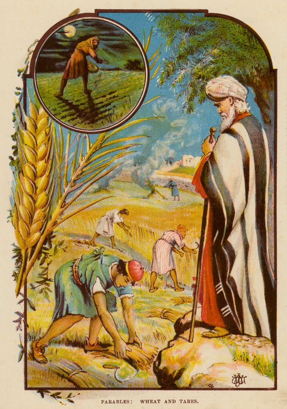 Parables, Wheat and Tares by English School
