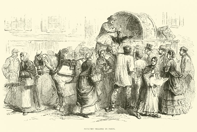 Poultry Sellers in Paris, October 1870 by English School
